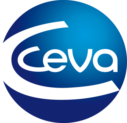 CEVA GROUP ASSESSMENT